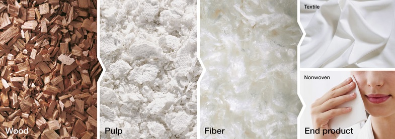 from-wood-to-fiber-jpeg